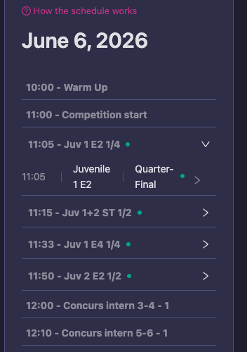 The schedule on a phone, with the time in front of each round and finished blocks in grey